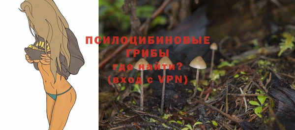 мефедрон Гусиноозёрск