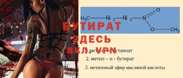 мдпв Гусев