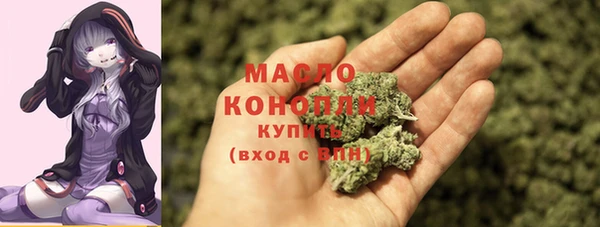 мдпв Гусев