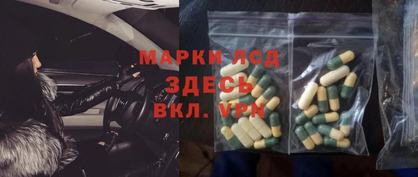 мдпв Гусев