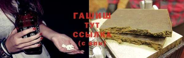 мдпв Гусев