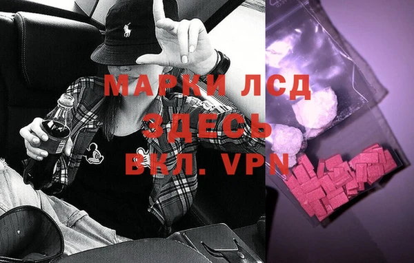мдпв Гусев