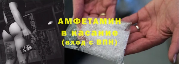 мдпв Гусев