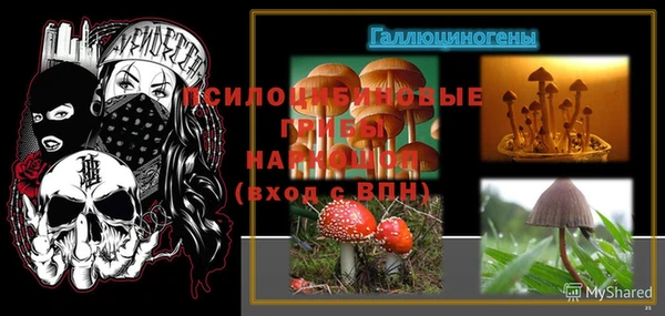 мдпв Гусев