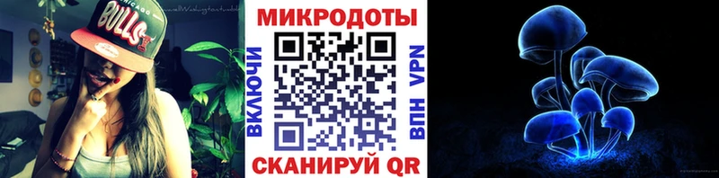 Купить  Усть-Кут  Псилоцибиновые грибы Psilocybe 